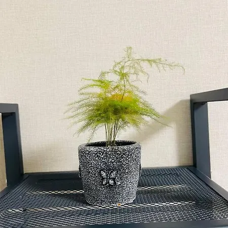 新小岩デメテル303 Apartment Tokyo Exterior photo