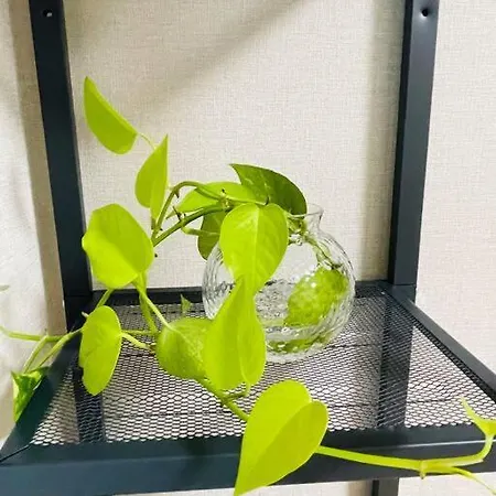 新小岩デメテル303 Apartment Tokyo Exterior photo